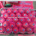 /msite/products/detail/productid/54855525/id/542998.html